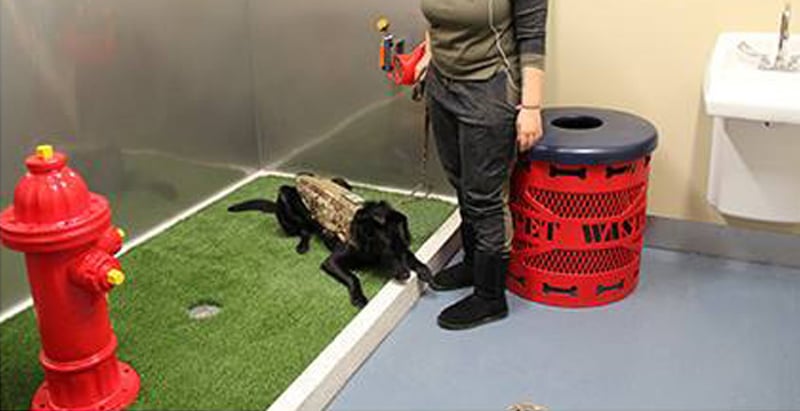 Airport Pet Relief Areas preview 7